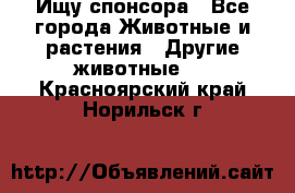 Ищу спонсора - Все города Животные и растения » Другие животные   . Красноярский край,Норильск г.